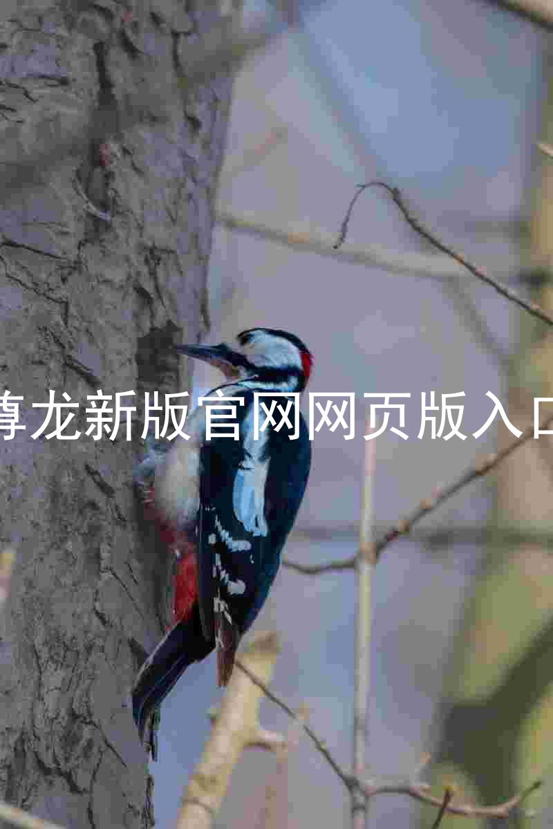 尊龙新版官网网页版入口