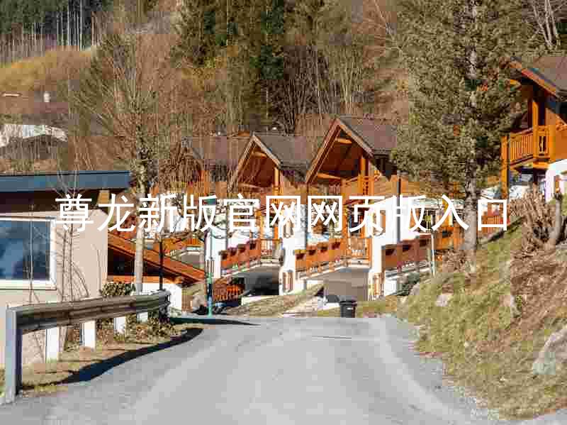尊龙新版官网网页版入口
