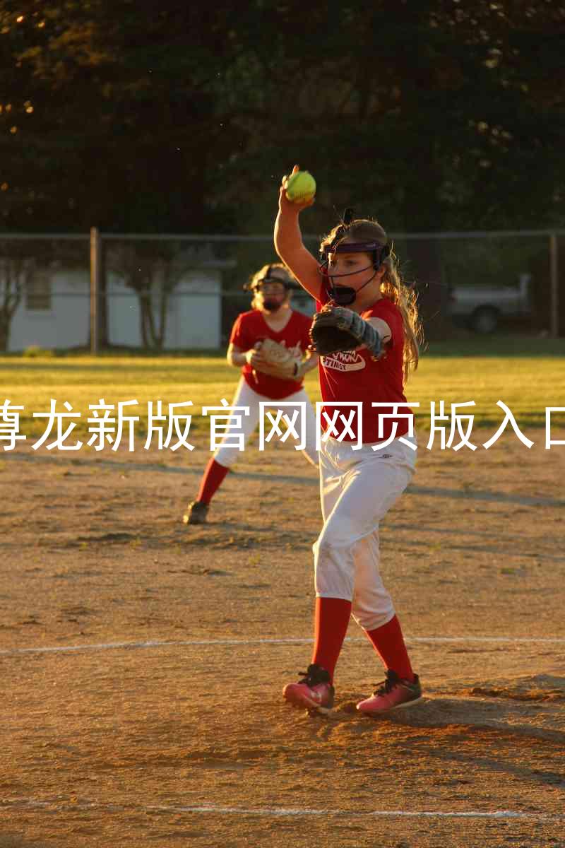 尊龙新版官网网页版入口