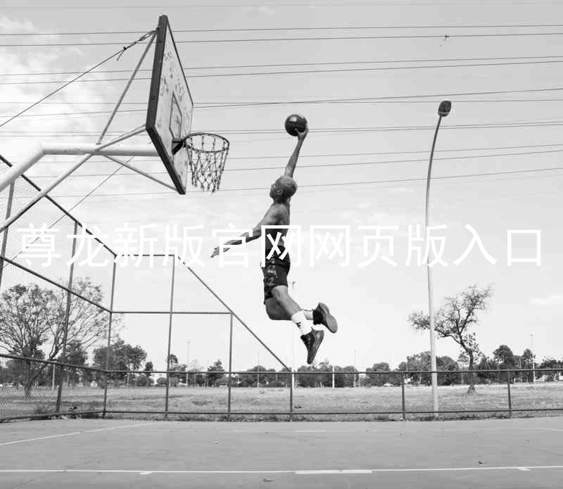 尊龙新版官网网页版入口