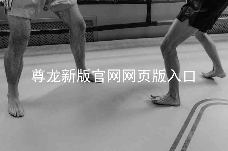 尊龙新版官网网页版入口