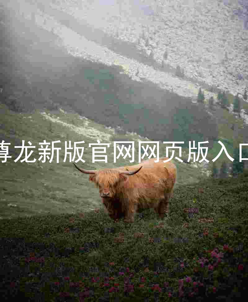 尊龙新版官网网页版入口