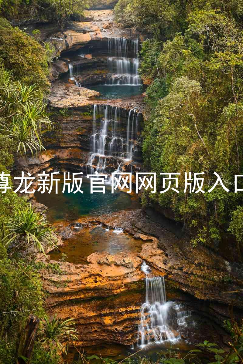 尊龙新版官网网页版入口
